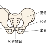 仙骨