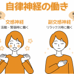 自律神経