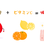 鉄の吸収率UPのイラスト