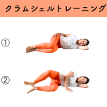 クラムシェルトレーニング