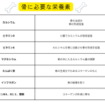 骨に必要な栄養