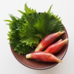 薬味