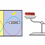 自律神経