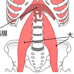 大腰筋