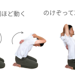 牛面2