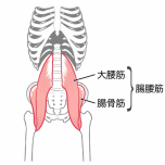 大腰筋
