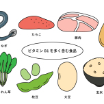 ビタミンB1イラスト