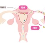 AdobeStock