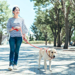 犬の散歩をする女性