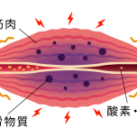 疲労物質