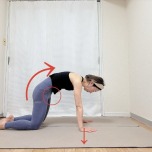 背中を軽く丸めて股関節を緩めた四つ這いの姿勢