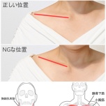 鎖骨周囲の筋肉