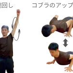 コブラ