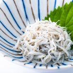 しらす