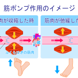 血流