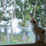 写真提供: mio