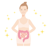 腸活 イラスト