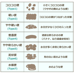 うんち