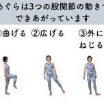 あぐらの股関節の動き