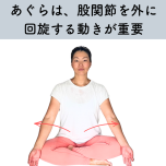 あぐらの股関節の動き