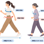 歩行比較