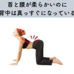 キャットアンドカウのミスアライメント